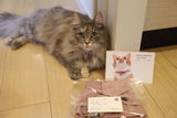 りさ review photo
