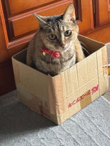 もこな review photo