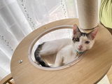 MIYOKO review photo