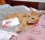 みゆママ review photo