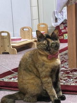 もこな review photo