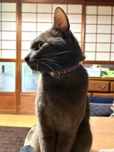 ぎん review photo