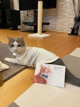 ちぃ review photo