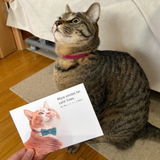 K･I review photo