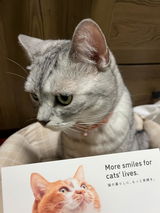 里佳 久保 review photo