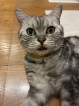 ラク review photo