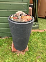 KaTyJs review photo