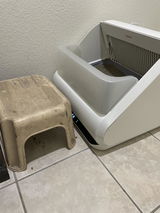 Robert McCarthy review photo