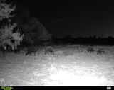 NTX Varmint Control review photo