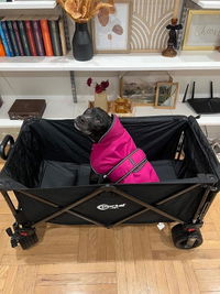 Portal Outdoors All Terrain Folding Wagon