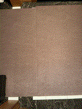 Monika D. review photo