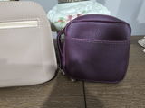 Toby F. review photo