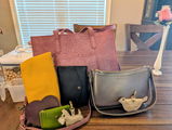 Jill S. review photo