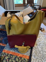 Jan D. review photo