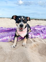 Jenn & Stella | @stellainhawaii review photo