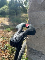Sascha S. review photo
