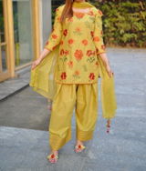Sania review photo