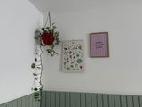 Kundenfoto zu Tanz Drüber Nach Poster in Rosa-Gestreift