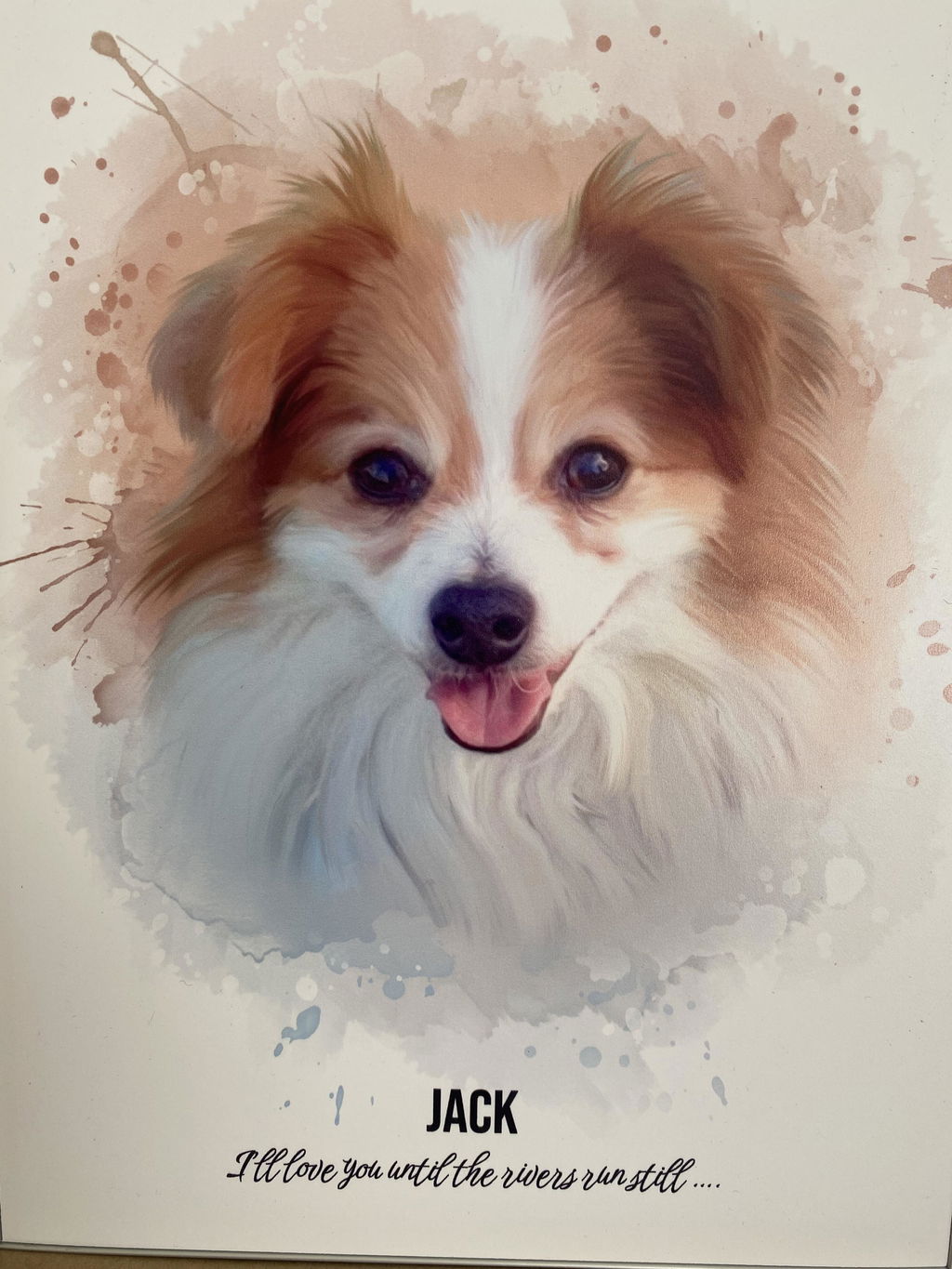 Watercolour Pet Illustration