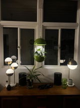 M Dahl review photo