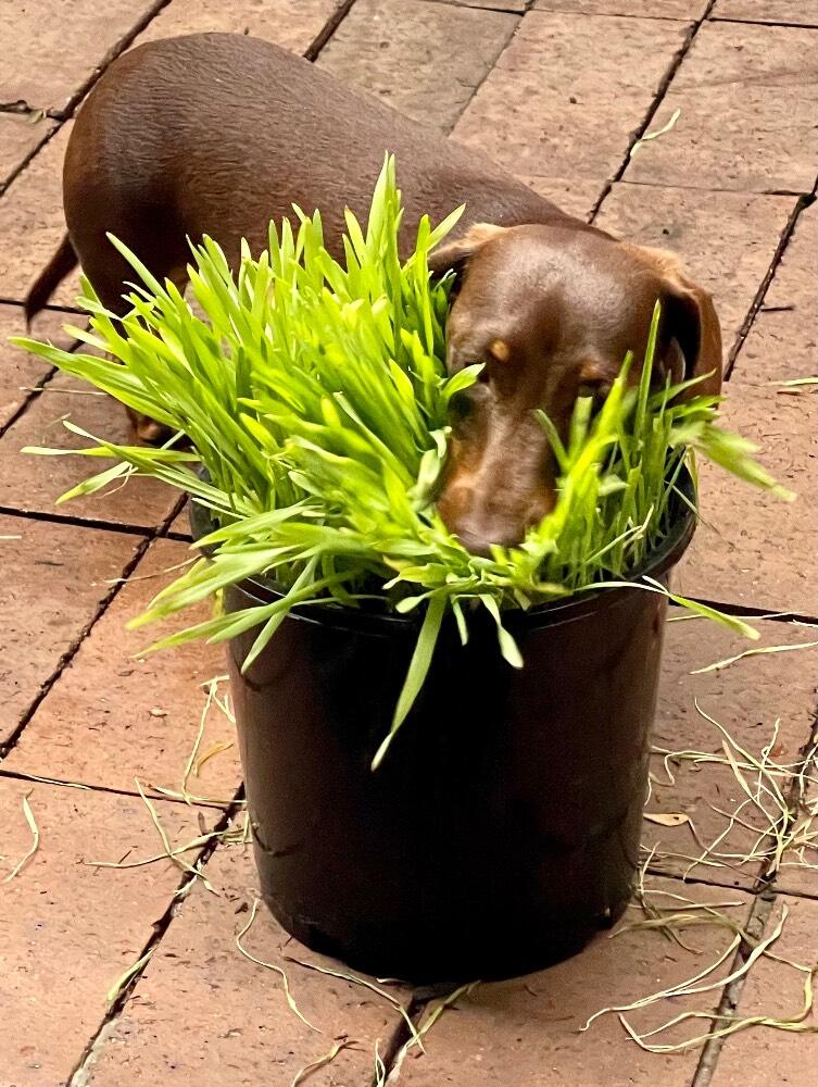 Aly review photo