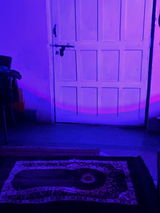 Hassan Rauf review photo