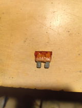 Diego review photo