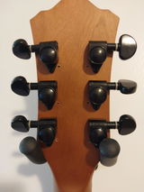 Walterwindish review photo
