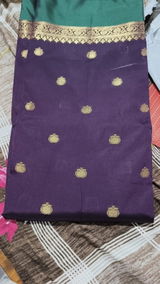 Salgamma Johny review photo