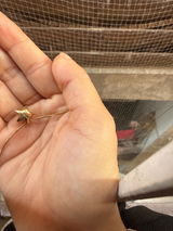 Risha review photo
