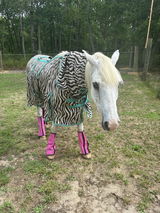 PJS All In One Leg Solution