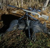 Paul Starnes Southern Thermal Nights 2.0 review photo