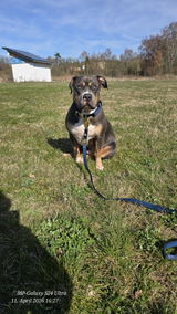 Markus P. review photo