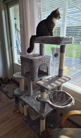 Niina review photo