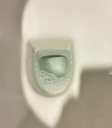 T.B. review photo