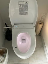 Druwolcott review photo