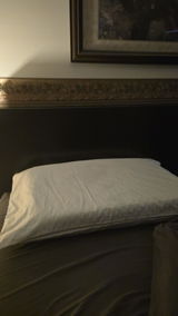 Paul Frigo review photo
