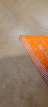 Bernhard R. review photo
