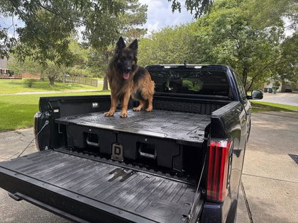 Customer photo from a review by Lee C.