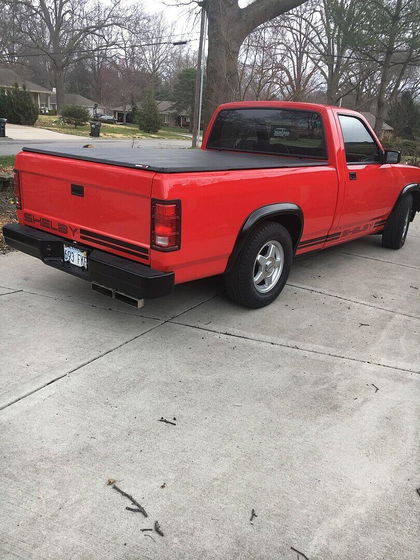 Customer photo from a review by Roger L.