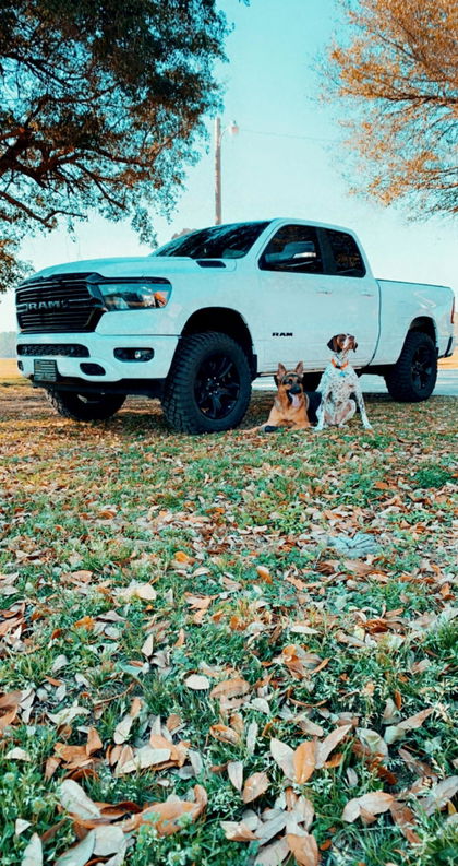 Customer photo from a review by D.Sims