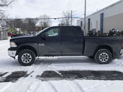 Customer photo from a review by Roachman