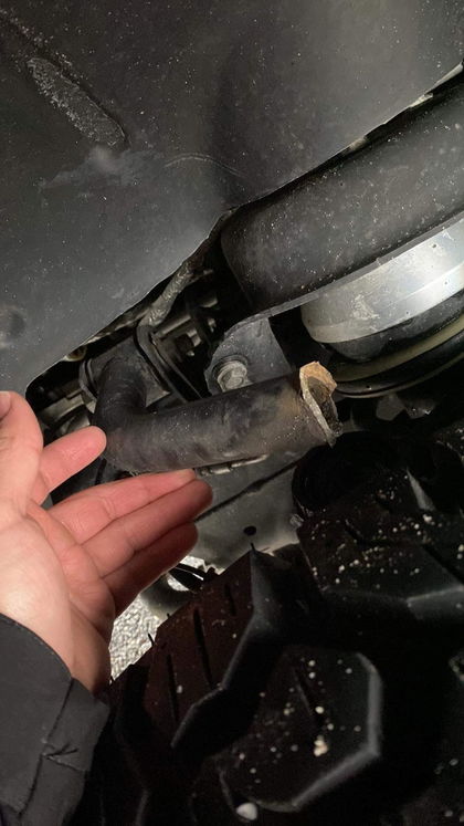 Customer photo from a review by Tom1