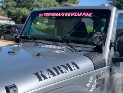 Customer photo from a review by Kmfelts93