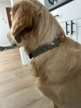 Original Collar - Design your Own