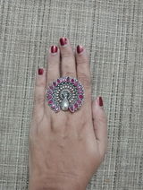 Anjana Aravindan review photo