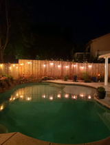 Hanging Festoon Lights