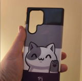 Pj review photo