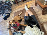 Jordan & Denver review photo