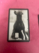 Frank G. review photo